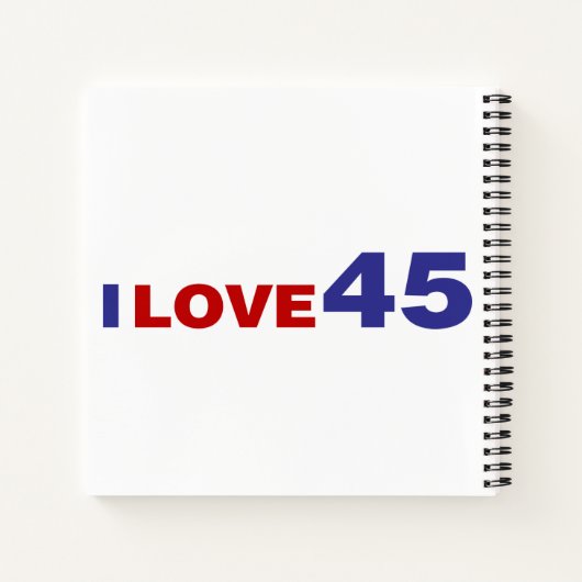 恋45 ノートブック (裏面)