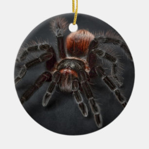 恐いタランチュラのくもArachnophobia セラミックオーナメント