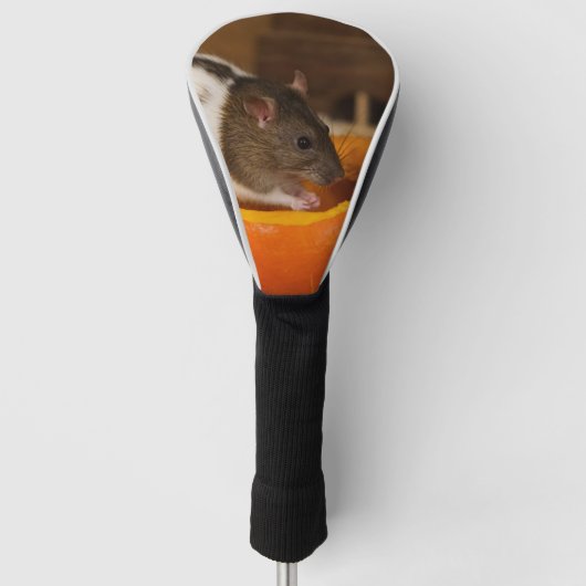 恐く黒いフード付きのラットの食べ物のカボチャ種 ゴルフヘッドカバー (正面)