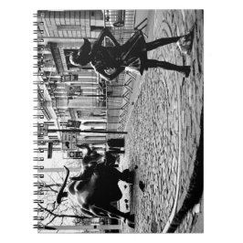 恐れを知らない娘 ノートブック