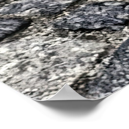 恐れを知らぬ娘が味方を得る ポスター (角)