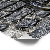 恐れを知らぬ娘が味方を得る ポスター (コーナー)