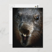 恐ろしいグラウンドホッグの日 ポストカード (正面/裏面)