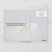 恐ろしいタランチュラスパイダー ポストカード (裏面)