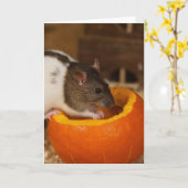 恐ろしい黒いフード付きラト食べのカボチャの種子 カード (黄色い花)