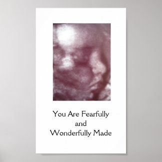 恐ろしく素晴らしく作られた/ポスター ポスター