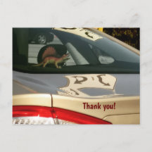 恐竜おもしろいのお礼のはがき