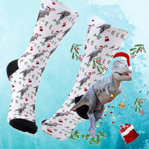 恐竜おもしろいのクリスマス ソックス