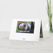 恐竜おもしろい老化誕生日 カード (裏面)