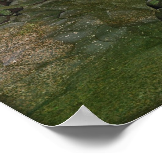 恐竜が鳴った時 ポスター (角)