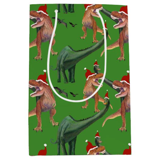 恐竜のクリスマス ミディアムペーパーバッグ (正面)