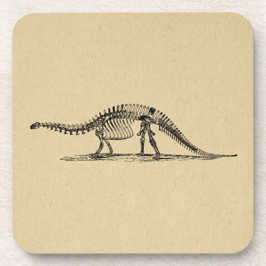 恐竜のスケルトンヴィンテージアート コースター (正面)