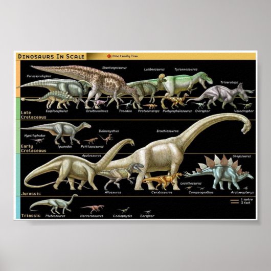 恐竜のタイムライン生物学 ポスター (正面)