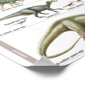 恐竜のタイムライン ジュラ紀の生物学 ポスター (角)