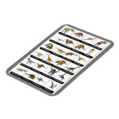 恐竜のチャート磁石 マグネット (左側)