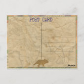 恐竜のパーティー感謝はがき ポストカード (裏面)