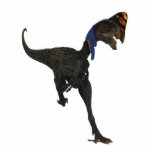 恐竜のフォトスカルプチャーOviraptorグレゴリーポール フォトスカルプチャー<br><div class="desc">Oviraptorのモンゴルからの風変わりな恐竜。</div>