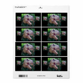 恐竜のラベル子供へ ラベル (フルシート)