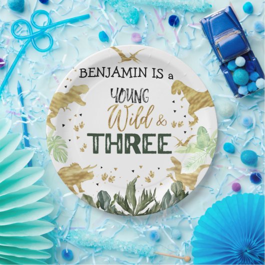 恐竜の三番目の誕生日の少年のパーティー ペーパープレート (パーティー)