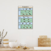 恐竜の分類を簡略化 ポスター (キッチン)