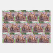 恐竜の包装紙シート – 3デザイン ラッピングペーパーシート (正面3)