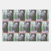 恐竜の包装紙シート – 3デザイン ラッピングペーパーシート (正面)