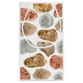 恐竜の化石キッズバースデーパーティー抱き枕 スモールペーパーバッグ (裏面)