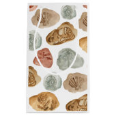 恐竜の化石キッズバースデーパーティー抱き枕 スモールペーパーバッグ (正面)