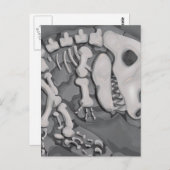 恐竜の化石 ポストカード (正面/裏面)