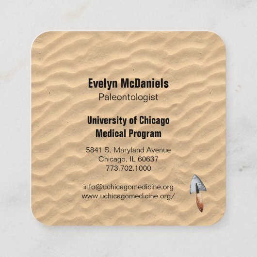 恐竜の古生物学者の名刺 スクエア名刺 (裏面)
