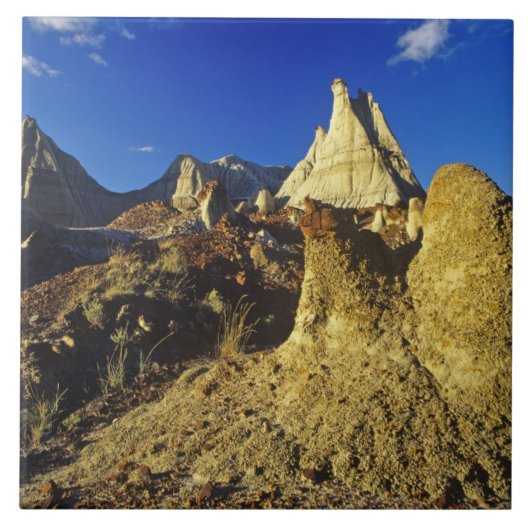 恐竜の国分公園2の悪地層 タイル (正面)