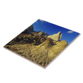 恐竜の国分公園2の悪地層 タイル (側面)