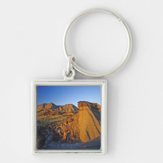 恐竜の国分公園3の悪地層 キーホルダー (正面)