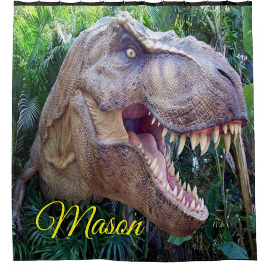 恐竜の子供たちがシャワーカーテンメイソン シャワーカーテン (正面)