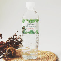 恐竜の最初の誕生日パーティー