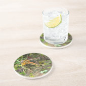 恐竜の棘徐脈 コースター (側面)