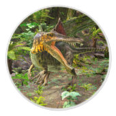 恐竜の棘徐脈 セラミックノブ (正面)