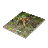 恐竜の棘徐脈 タイル (側面)