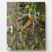 恐竜の棘徐脈 フォトプラーク (正面)