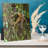 恐竜の棘徐脈 フォトプラーク (側面)