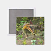 恐竜の棘徐脈 マグネット (正面/裏面)