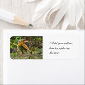 恐竜の棘徐脈 ラベル (インサイチュ)