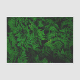 恐竜の森 薄葉紙