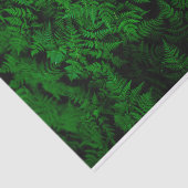 恐竜の森 薄葉紙 (詳細)