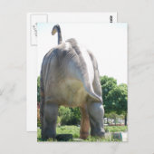 恐竜の気管支索 ポストカード (正面/裏面)