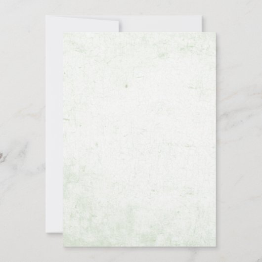 恐竜の男の子の赤ちゃんシャワーパーティー 招待状 (裏面)