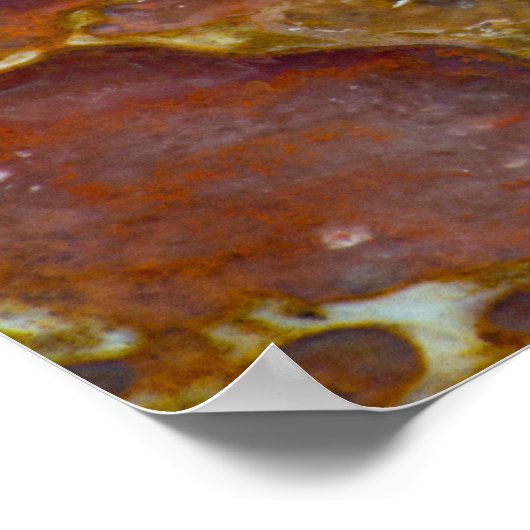 恐竜の石化した骨 ポスター (角)