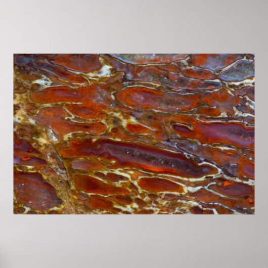 恐竜の石化した骨 ポスター (正面)