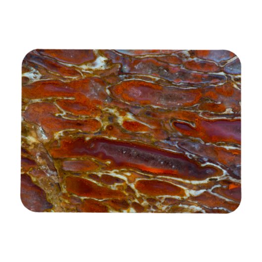 恐竜の石化した骨 マグネット (横)