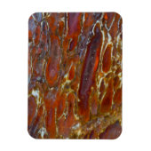 恐竜の石化した骨 マグネット (縦)